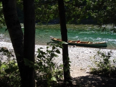 Forest view Forest view