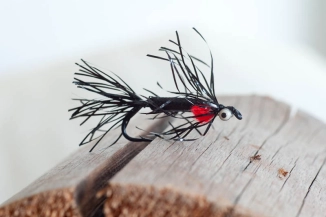 Black baitfish Black baitfish