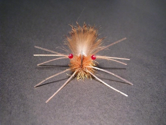 The finished Tarantula Crab The finished Tarantula Crab