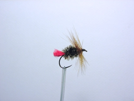 Dry Red Tag Dry Red Tag