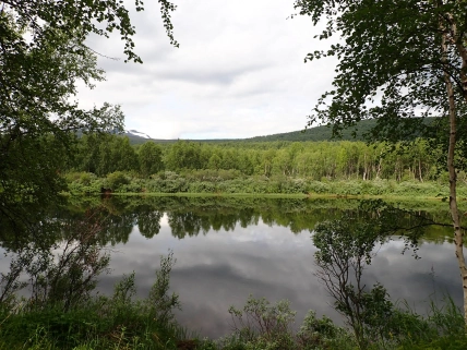 Slow flowing river Slow flowing river