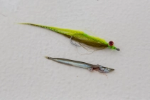 Antetype and imitation Antetype and imitation