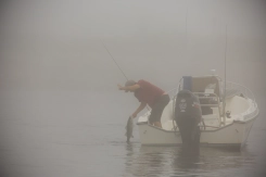 Landed in the fog Landed in the fog