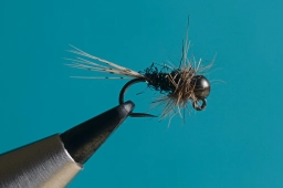 Peacock nymph Peacock nymph
