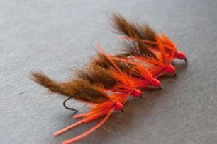 A row of Ronkers A row of Ronkers