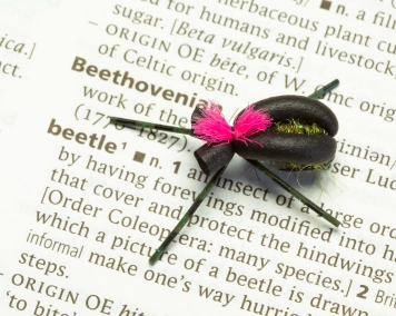 The Neoprene Beetle The Neoprene Beetle