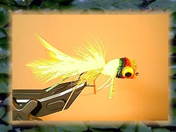 Rainbow popper Rainbow popper