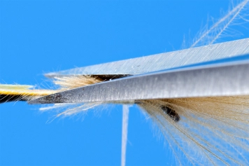 Clip off the base at an angle Clip off the base at an angle