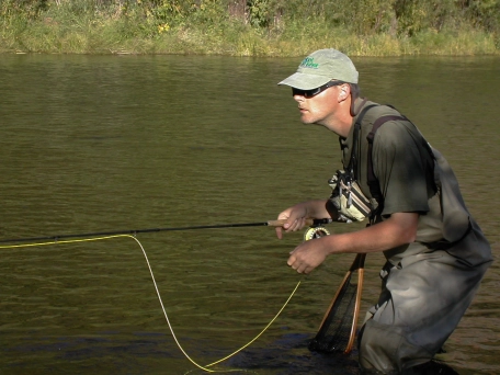 Watching a fish Watching a fish