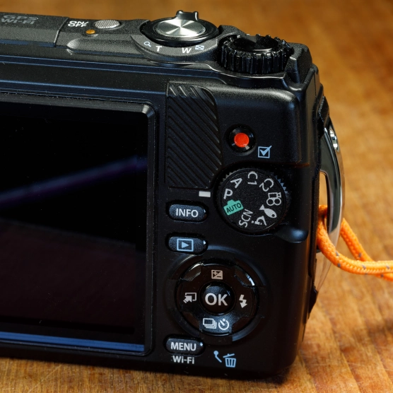 TG-7 controls. TG-7 controls.