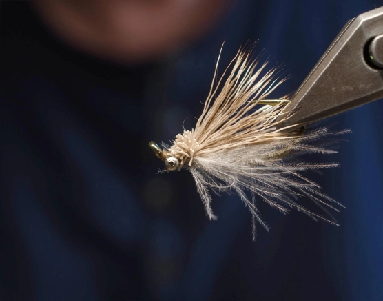 The Sea Trout CDC&Elk is done The Sea Trout CDC&Elk is done