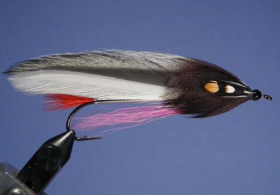 B&W Johnson B&W Johnson