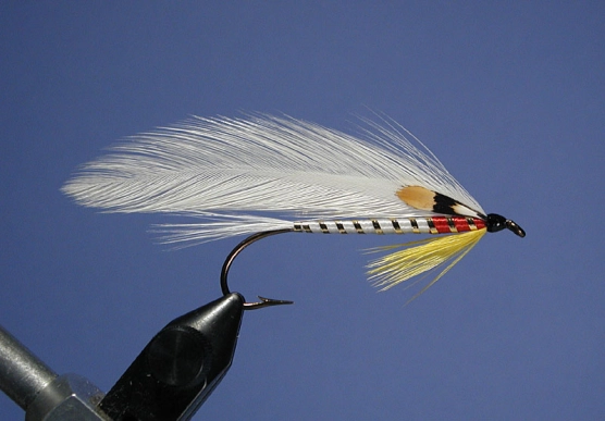 Dr. Oatman Dr. Oatman