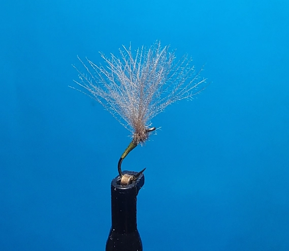 Shuttlecock BWO size 18 Shuttlecock BWO size 18