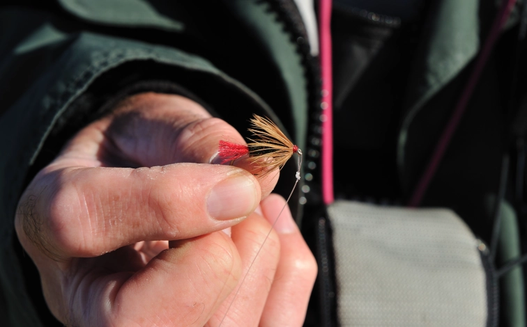 A coastal red tag ready to fish A coastal red tag ready to fish