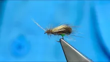 Video thumb for CDC Bubble Caddis - The Grannom