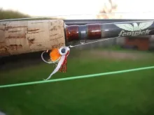 User submitted picture: My Pale Alevin , Bowmanvi...