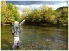 User submitted picture: River Ribnik