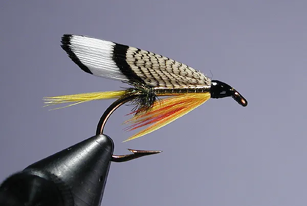 Tomah Joe - A real pretty fly. Nice combination of colors and materials. The wing can be made with either matching left/right slips of barred woodduck, or taking one wider slip and folding it lengthwise (the British method).